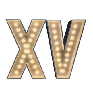 XV Marquee Letters party rentals in oakland party rentals near me bounce house in oakland bounce house near me water slide near me water slide in oakland portable toilet portable restroom portable sink chairs for rent tables for rent chairs in oakland chairs near me tables near me tents for rent tents in oakland tents near me